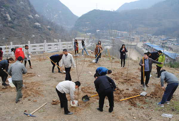 “春动西驰 绿满秦岭”公益植树活动(图2)