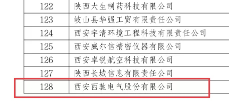 喜讯|西驰电气荣获国家级专精特新“小巨人”企业(图2)